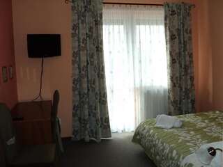 Отель Hotel Primagor Шидловец Номер с кроватью размера «king-size»-6